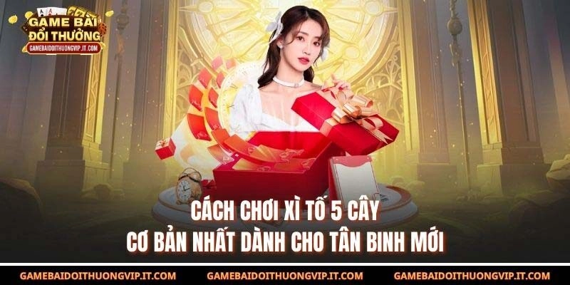 Cách chơi Xì Tố 5 cây